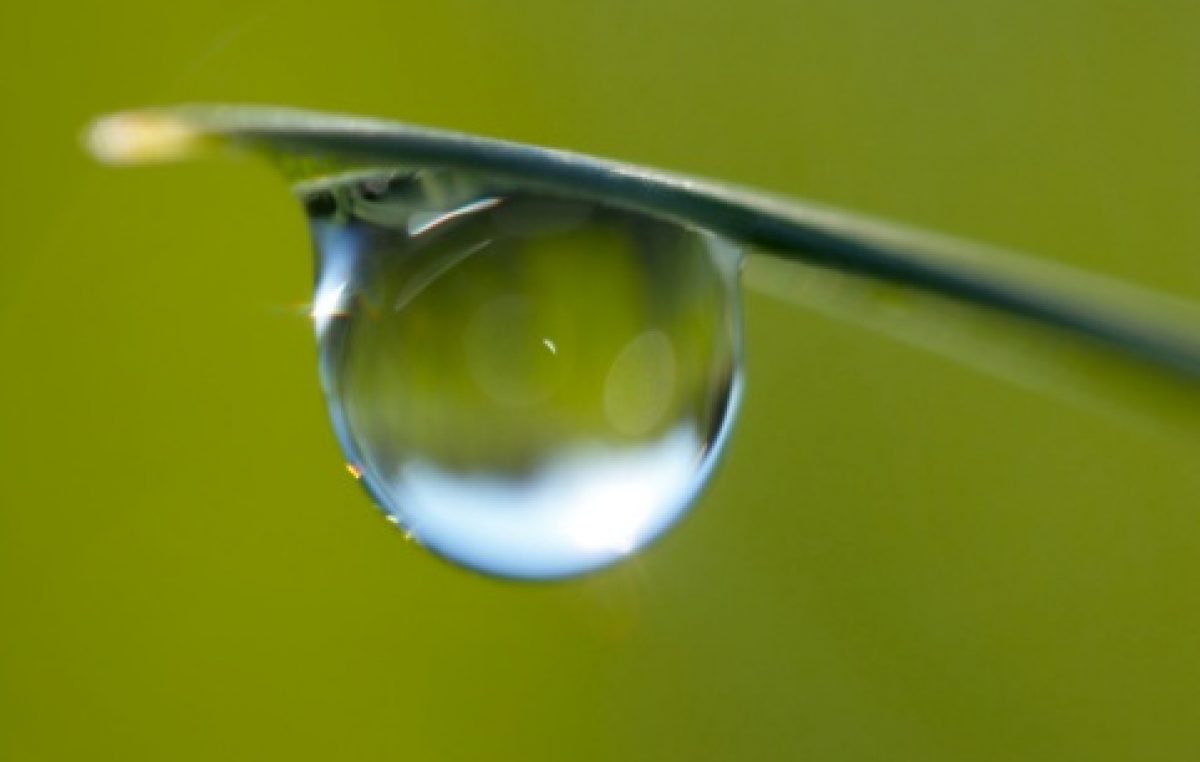Jardim na Baixa Fria é reconstruído pela SEMA