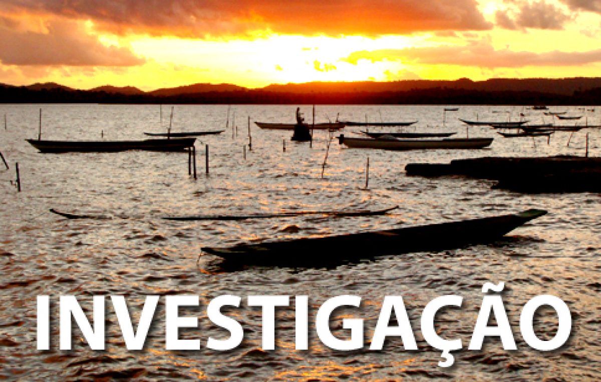 SEMA averigua morte de animais marinhos junto a órgãos competentes