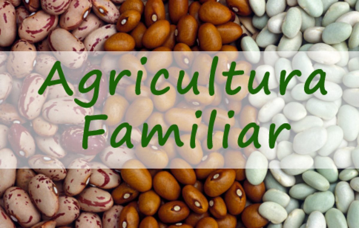 200 famílias locais são contempladas com sementes de feijão