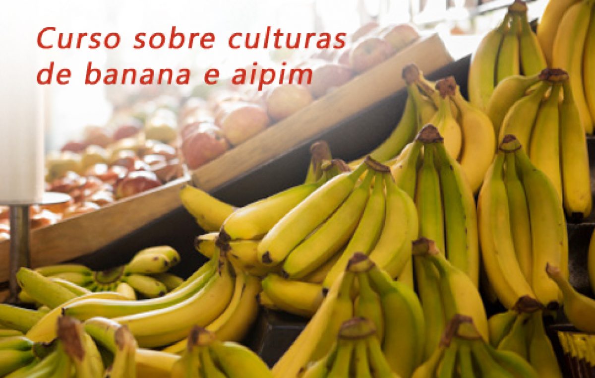 Produtores da Agricultura Familiar são capacitados por técnicos da EBDA