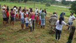 SEAP lança dois projetos de cultivo e criação para beneficiar pequenos produtores