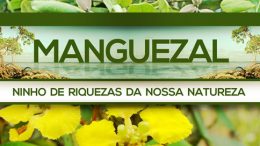 SEMA lança projeto Manguezal: Conhecer para proteger