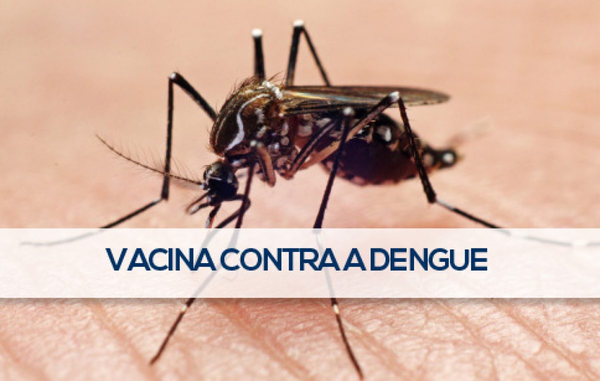 País inicia testes da vacina contra a dengue em humanos