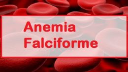 Saúde retoma capacitação em  Anemia Falciforme no dia 31 (sexta-feira)