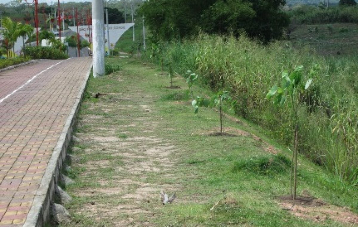 SEMA inicia atividades do projeto CO2 Manguezal em São Francisco do Conde