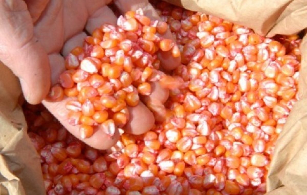 SEAP realizou entrega de sementes de milho e feijão a agricultores do município