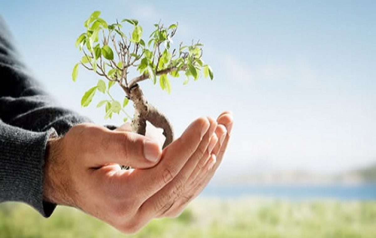 Membros do Conselho Municipal de Defesa do Meio Ambiente (COMDEMA) de São Francisco do Conde foram nomeados