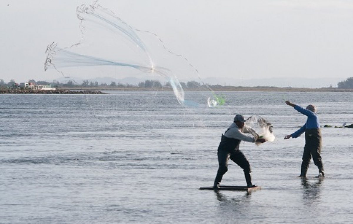 SEMAP alerta para o 2° período de Defeso do Camarão
