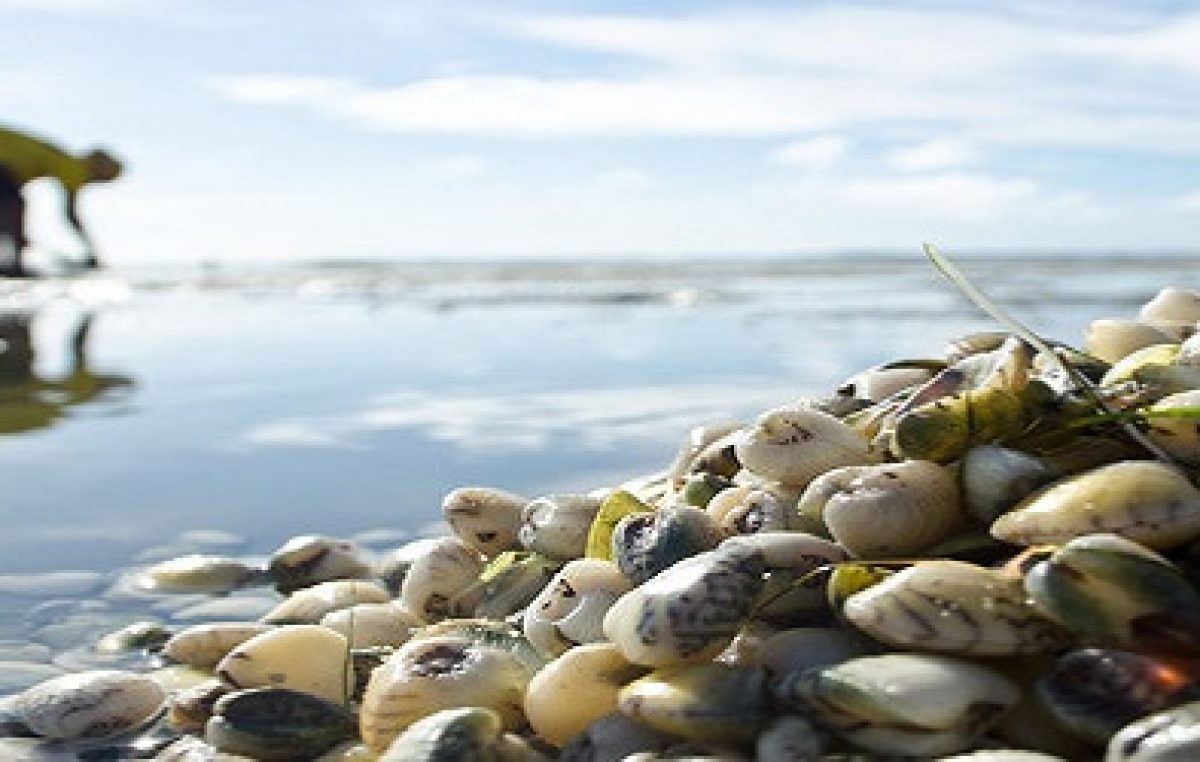 SEAP promove treinamento para as marisqueiras da Ilha das Fontes