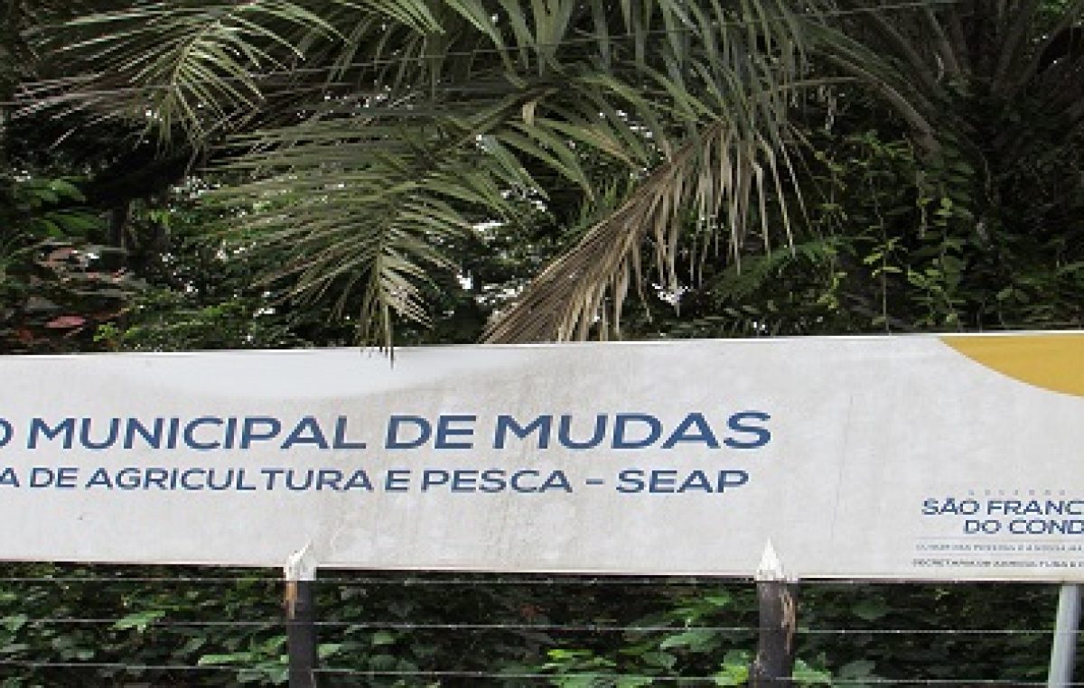 SEAP promoveu oficina com os alunos do curso de Farmácia da UFBA