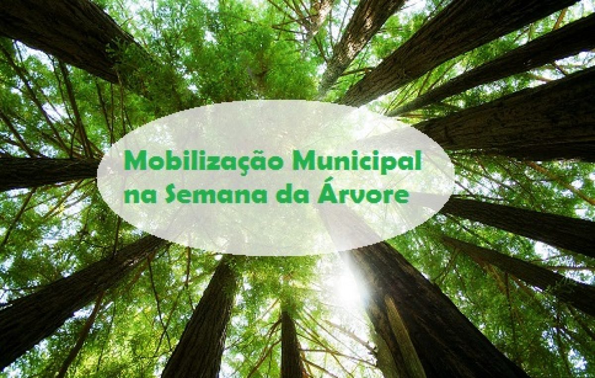 SEMA promoverá Mobilização Municipal pela Semana da Árvore