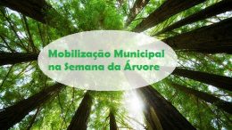 SEMA promoverá Mobilização Municipal pela Semana da Árvore