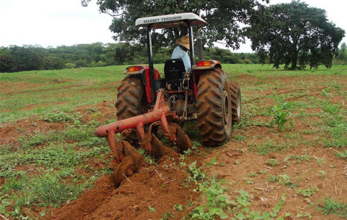 Agricultores do município participam de curso gratuito de Tratorista