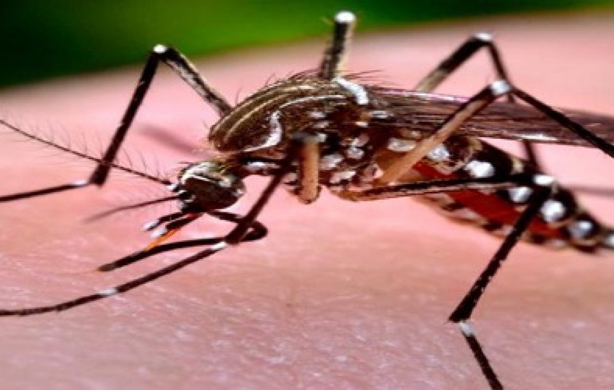 Saúde capacita profissionais sobre diagnóstico e tratamento do chikungunya