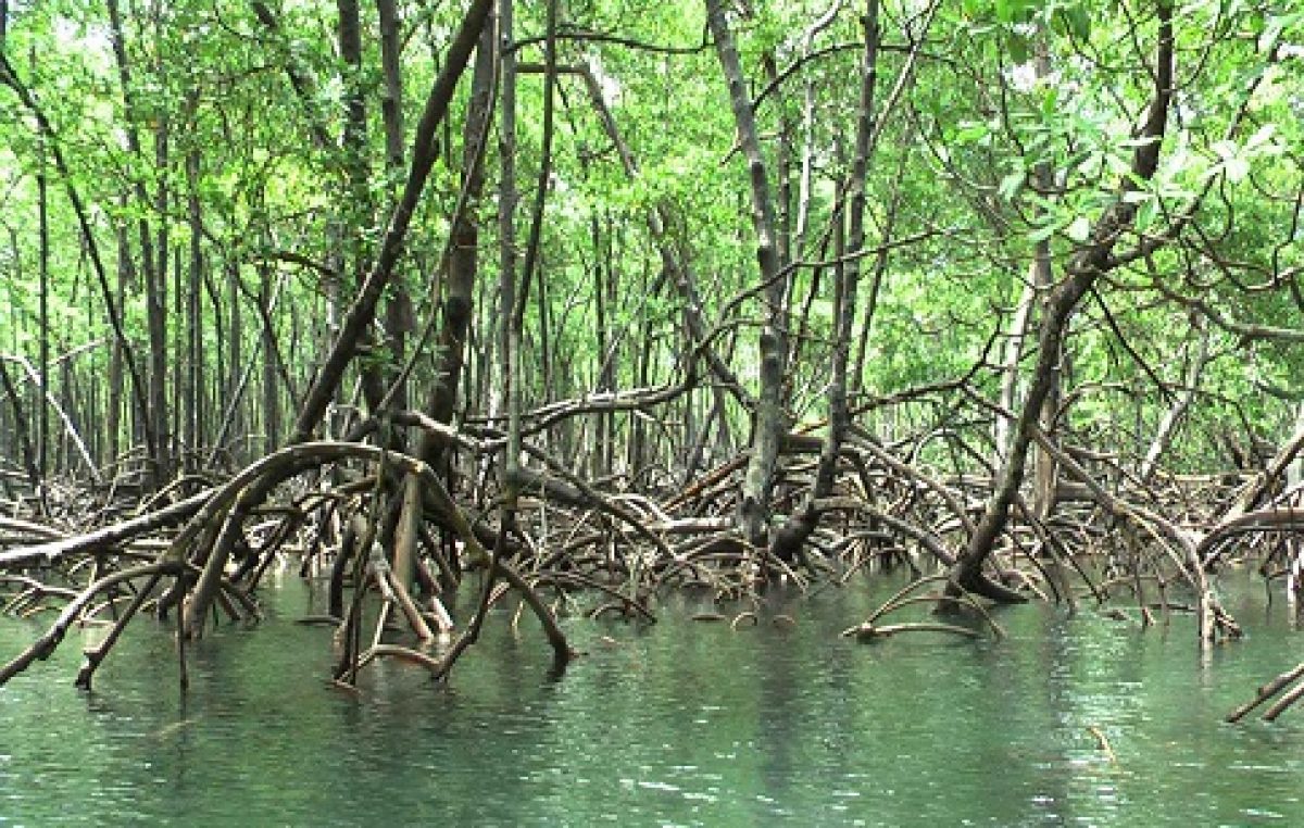 SEMA promove 3ª etapa do Curso em Educação Ambiental para Pescadores e Marisqueiras de Caípe de Baixo