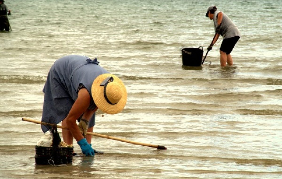 Curso de Embutidos e Defumados beneficiará 15 marisqueiras da Ilha das Fontes