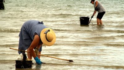 Curso de Embutidos e Defumados beneficiará 15 marisqueiras da Ilha das Fontes