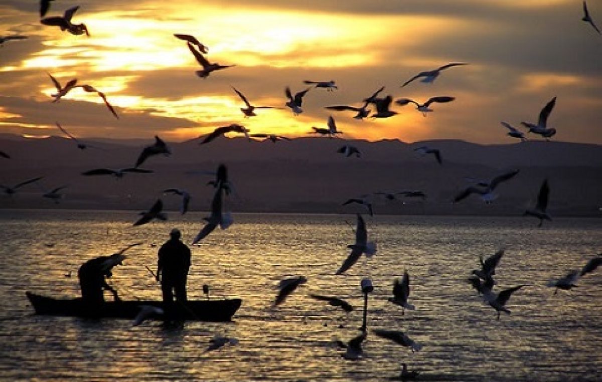 Inscrição para o recebimento do Defeso Inverno 2015 termina nesta terça-feira (26)