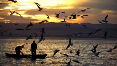 Dia do Pescador: Missa e Procissão marcaram a data em São Francisco do Conde