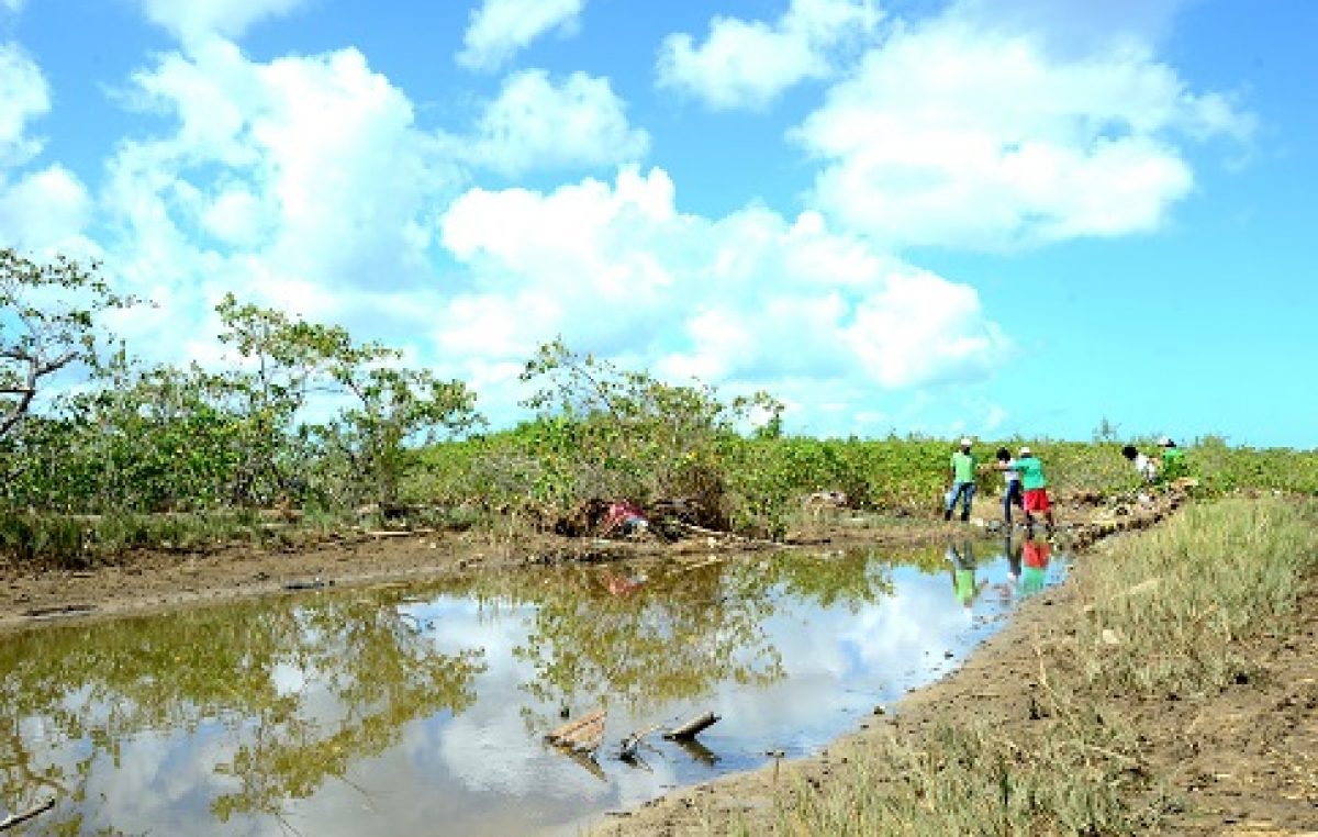 Equipe da Band esteve no município para acompanhar Projeto CO2 Manguezal