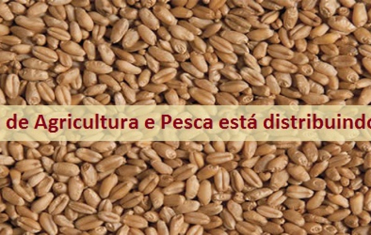 Secretaria de Agricultura e Pesca vai distribuir sementes no Caípe de Cima, nesta terça-feira (05)