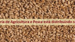 Secretaria de Agricultura e Pesca vai distribuir sementes no Caípe de Cima, nesta terça-feira (05)