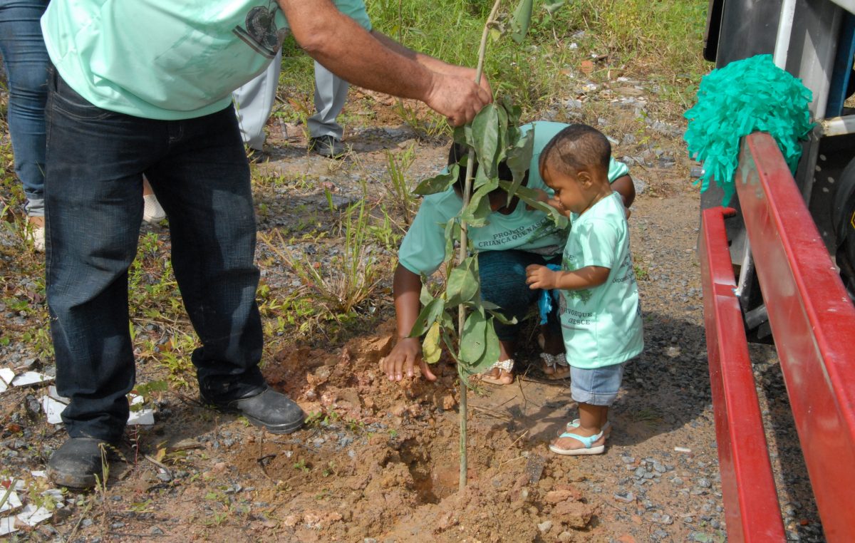 SEMA realizou lançamento do projeto: “Criança que nasce, árvore que cresce”, na segunda-feira (08)