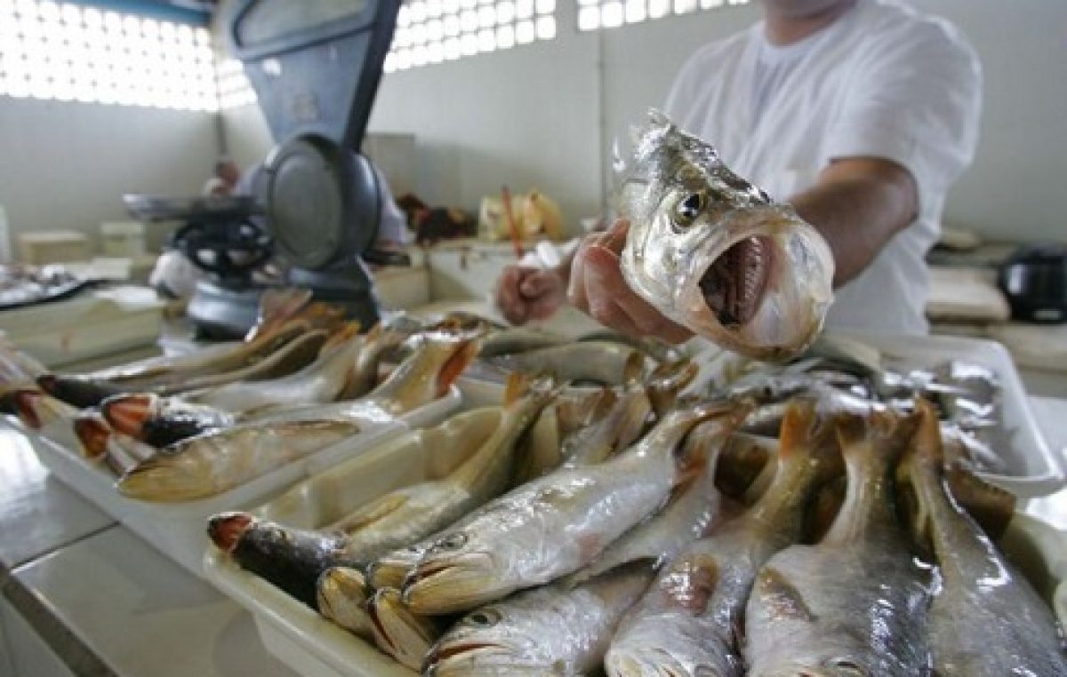 Prefeitura irá entregar Mercado de Carne e Peixe nesta segunda-feira (22)