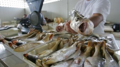 Prefeitura irá entregar Mercado de Carne e Peixe nesta segunda-feira (22)