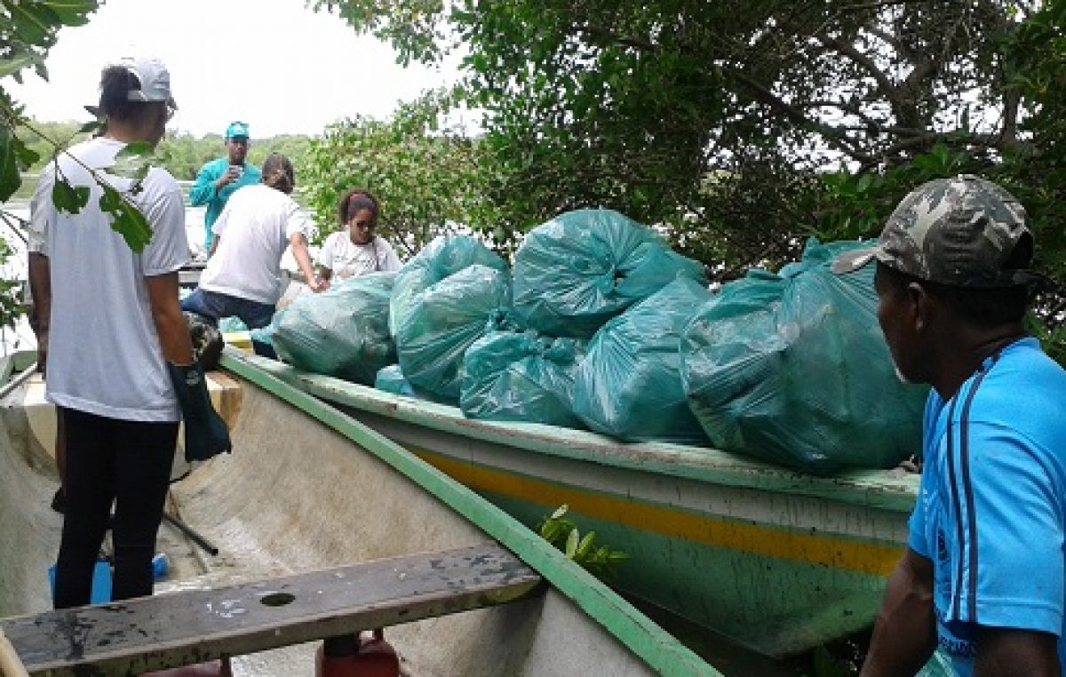 SEMA realizou ação de limpeza do manguezal na Ilha de Cajaíba na última terça-feira (09)