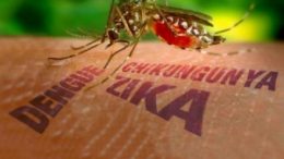 Saúde promoveu uma reunião sobre as Ações de Combate ao Zika Vírus