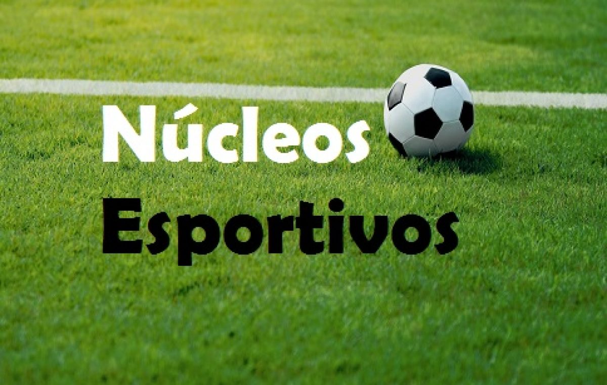 Núcleos Esportivos irão receber alunos para treinar voleibol, handebol, basquete, futsal e atletismo