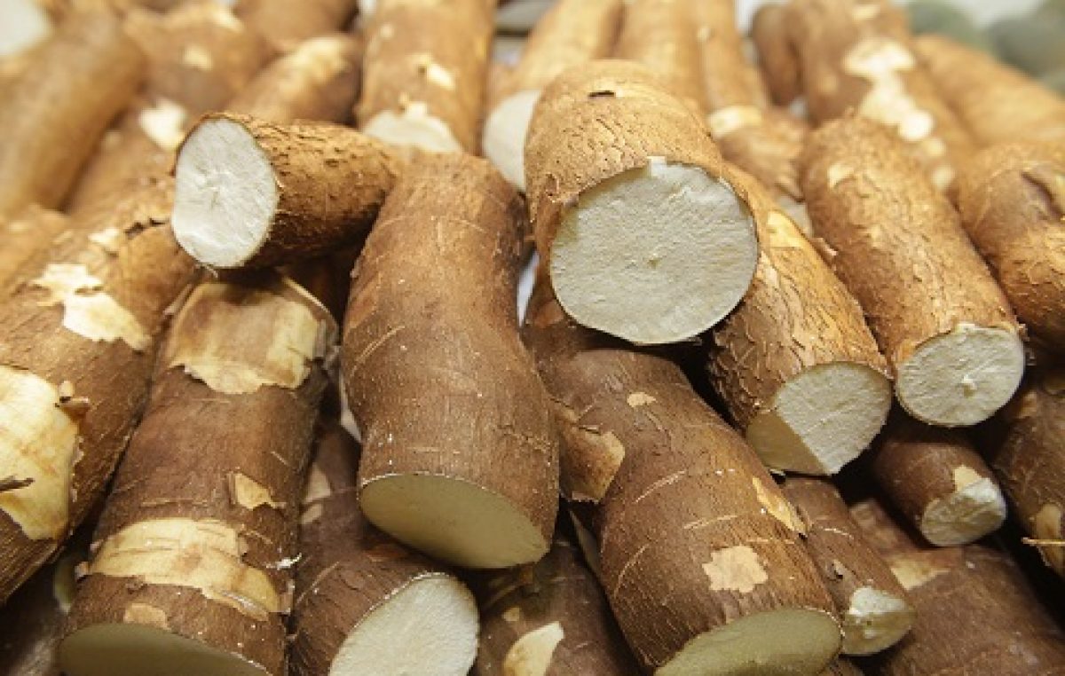 Secretaria de Meio Ambiente, Agricultura e Pesca, em parceria com a UNILAB, realizará atividades alusivas ao Projeto Segurança Alimentar e Nutricional