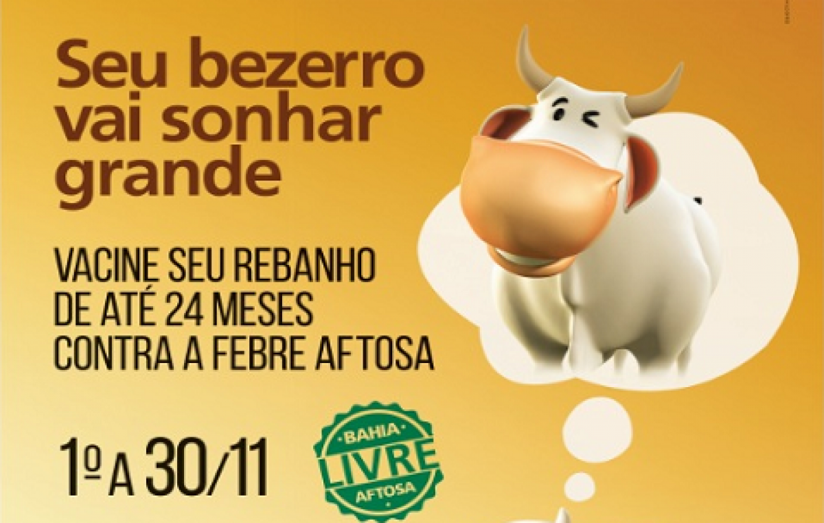 A Secretaria de Agricultura e Pesca começa a segunda etapa da vacinação contra a febre aftosa