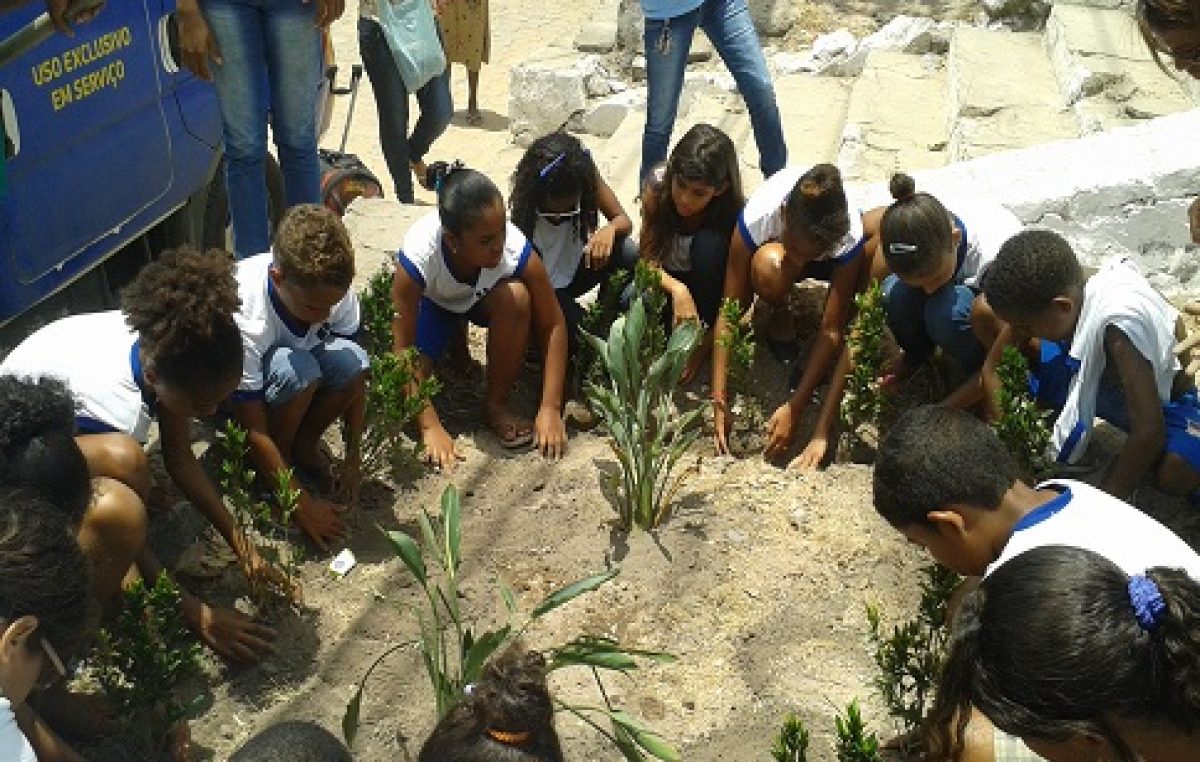 A SEMA encerra o ano de 2015 com a realização de diversas atividades