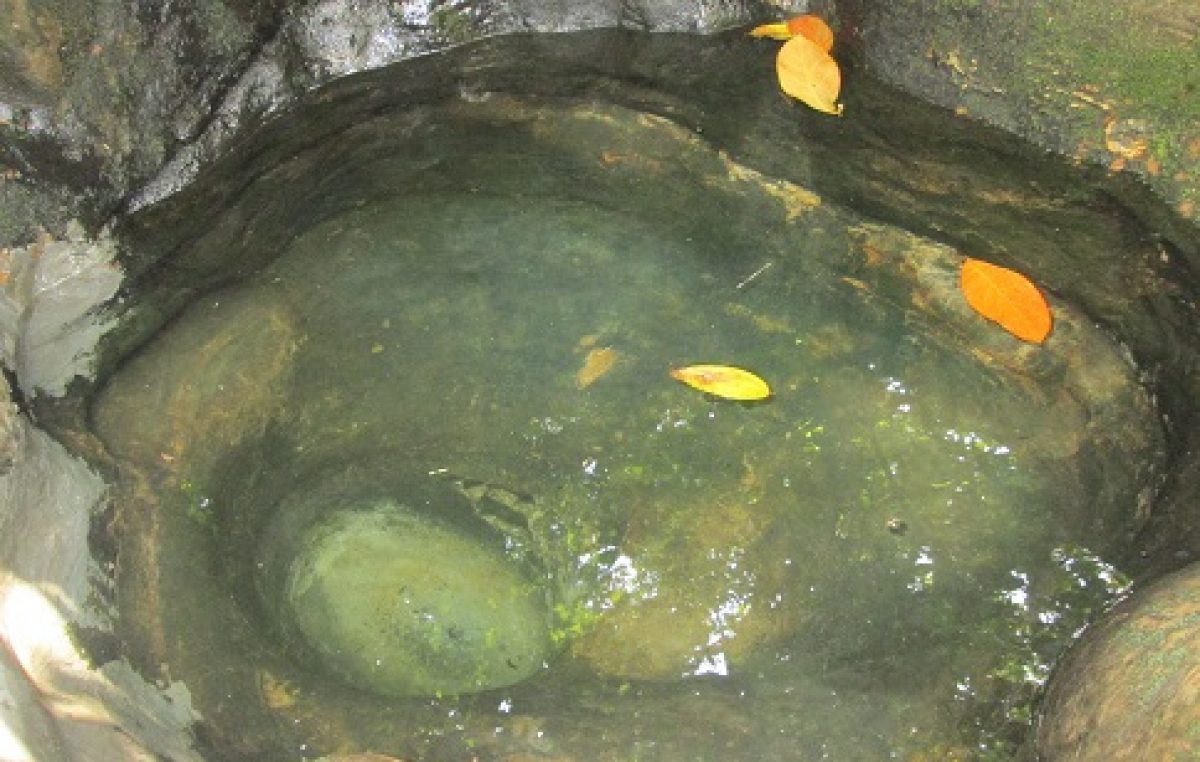 SEMA realizou visita e catalogação de fontes em Campinas