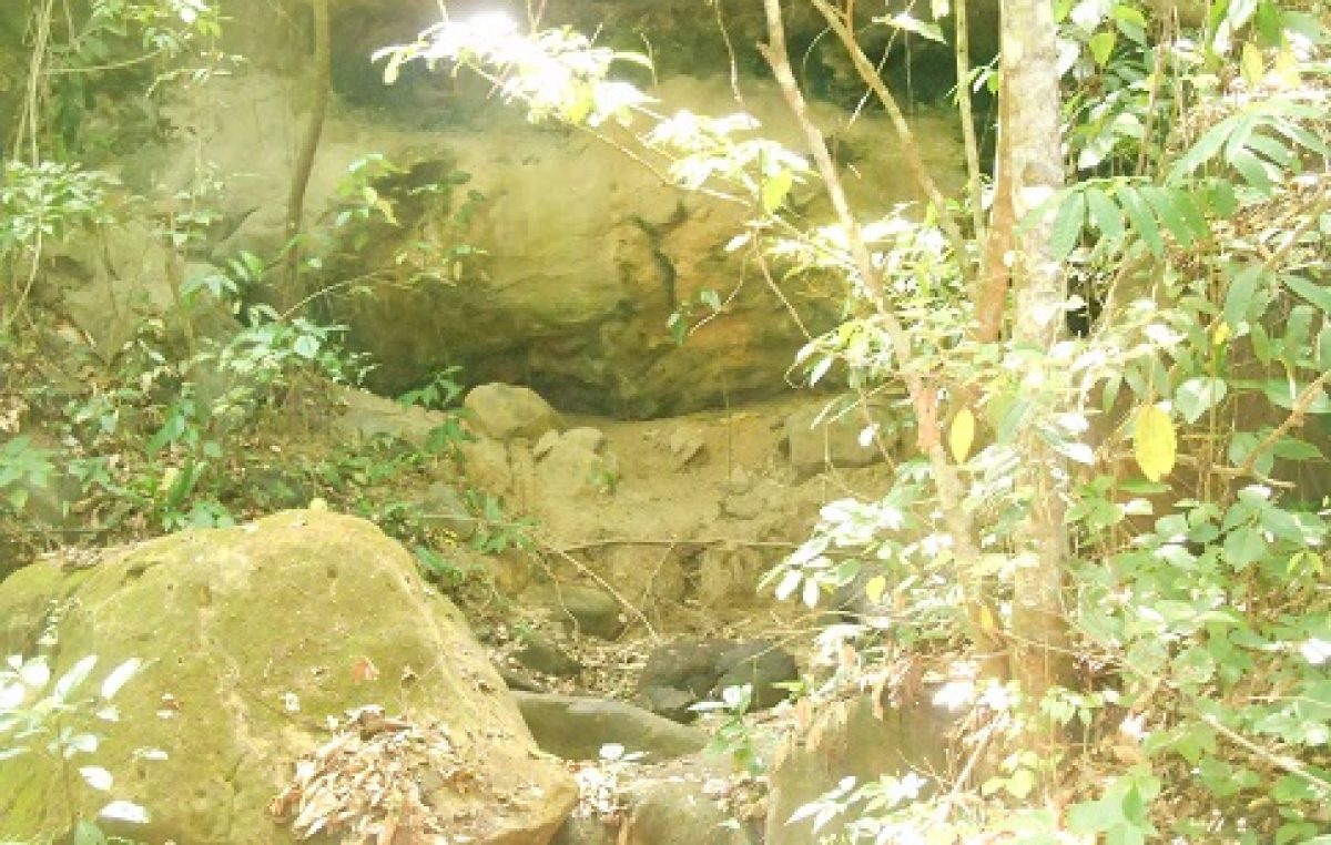 Prefeitura promoverá 1ª ação de limpeza e replantio de plantas nativas e sagradas na Pedra Santa