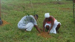 Secretaria do Meio Ambiente fez plantio de árvores na Santa Rita