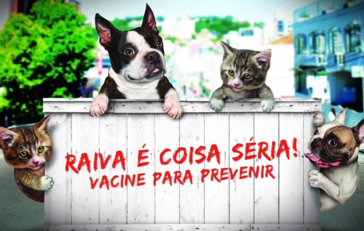 São Francisco do Conde vacinou mais de 5.080 cães e 1.310 gatos contra a raiva