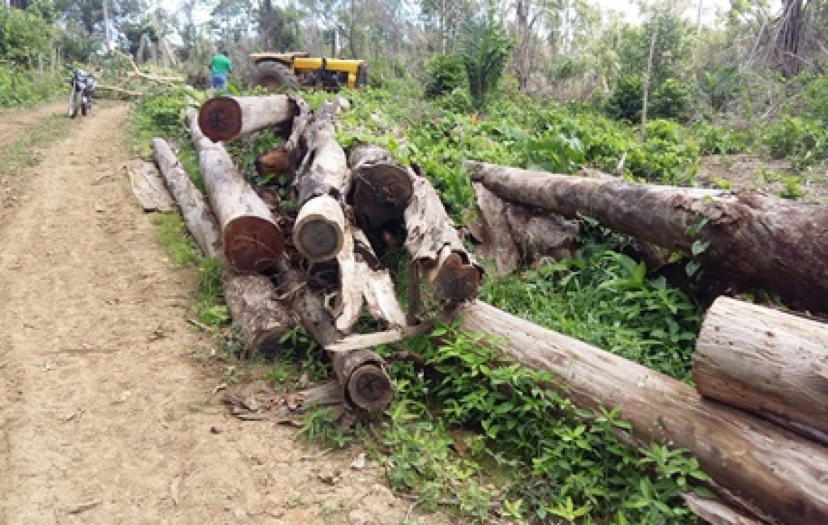 SEMA realizou ações fiscalizatórias em Almas e Muribeca