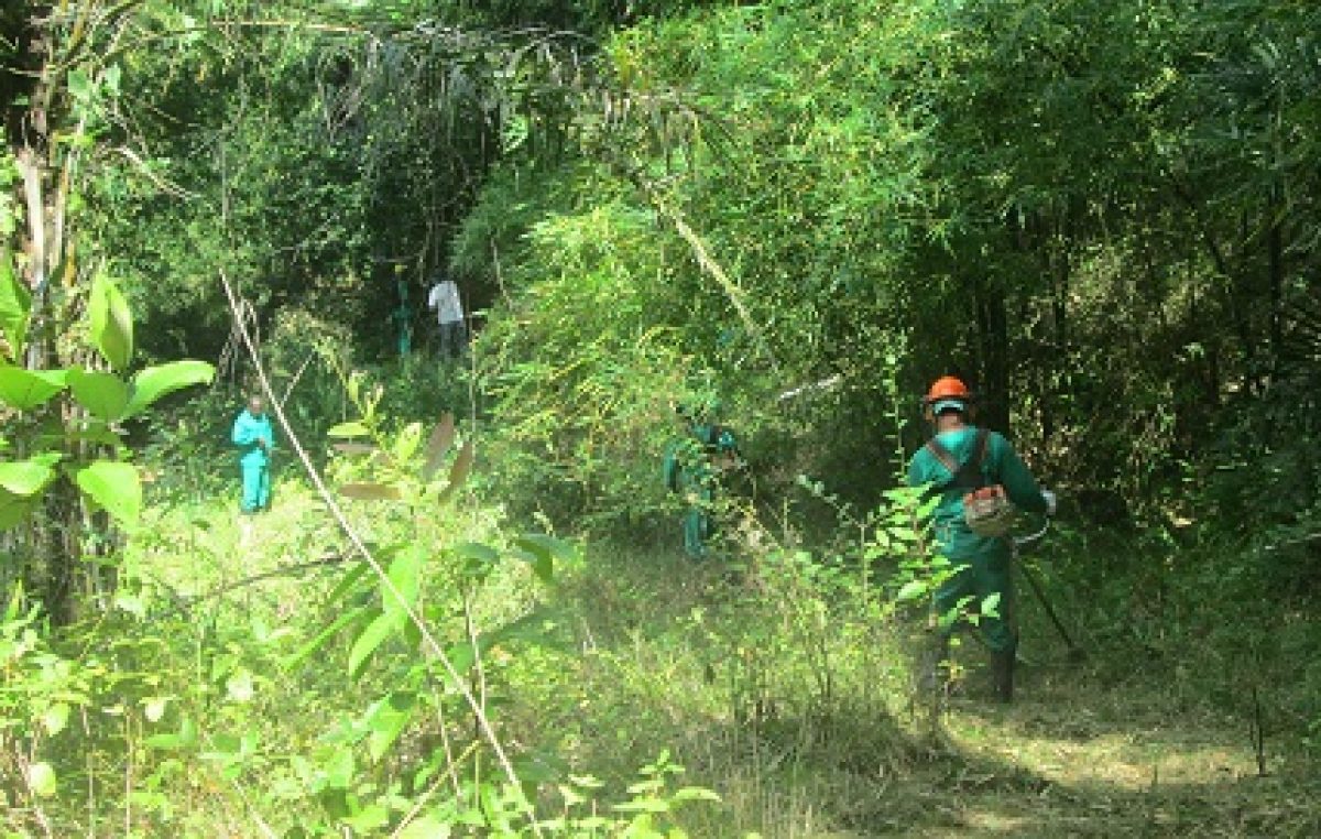 SEMA promoveu a revitalização da nascente em Milagre de São Caetano