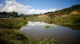 Meio Ambiente faz plantio de árvores para revitalização da Lagoa do Cocorobó