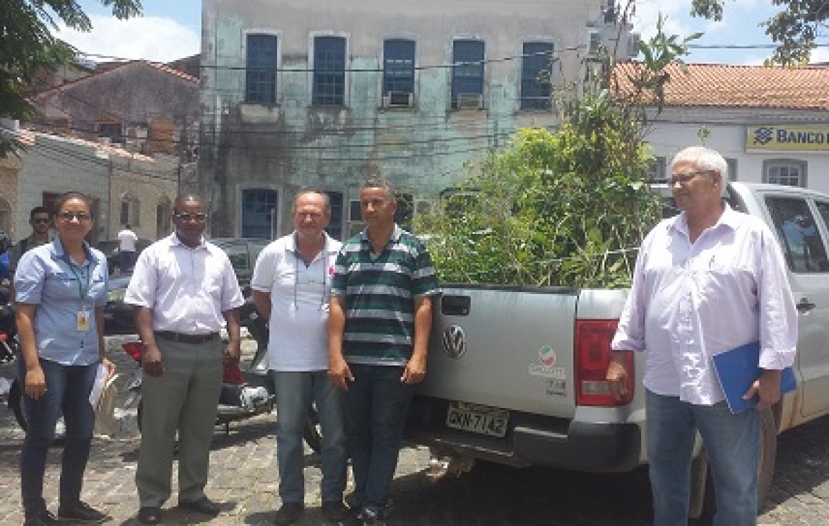 Secretaria do Meio Ambiente recebeu 270 mudas de árvores