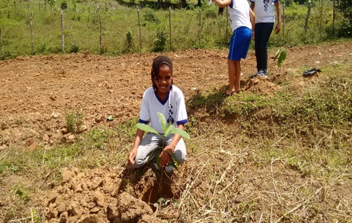 Alunos de escolas municipais realizam ação de recomposição da mata ciliar em São Bento