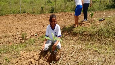 Alunos de escolas municipais realizam ação de recomposição da mata ciliar em São Bento