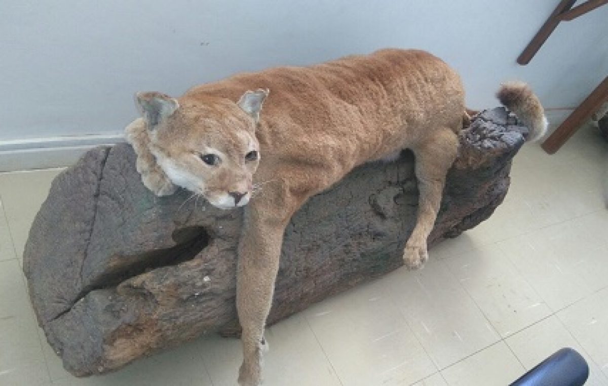 Equipe de Educação Ambiental da SEMAP fez visita técnica ao zoológico de Salvador