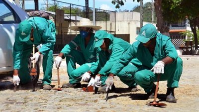 Secretaria de Serviços, Conservação e Ordem Pública realizou mutirão de limpeza em Santo Estevão