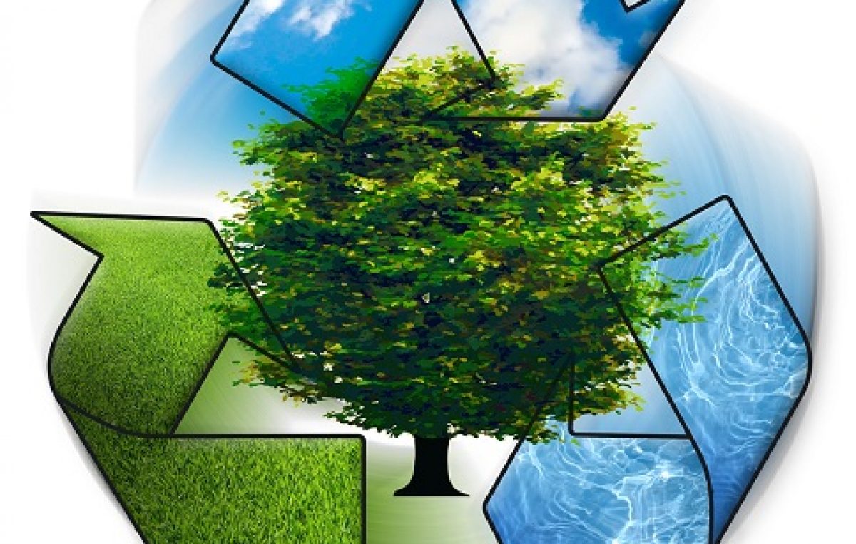 SEMAP promove curso para despertar atitudes de sustentabilidade dentro e fora do setor de trabalho