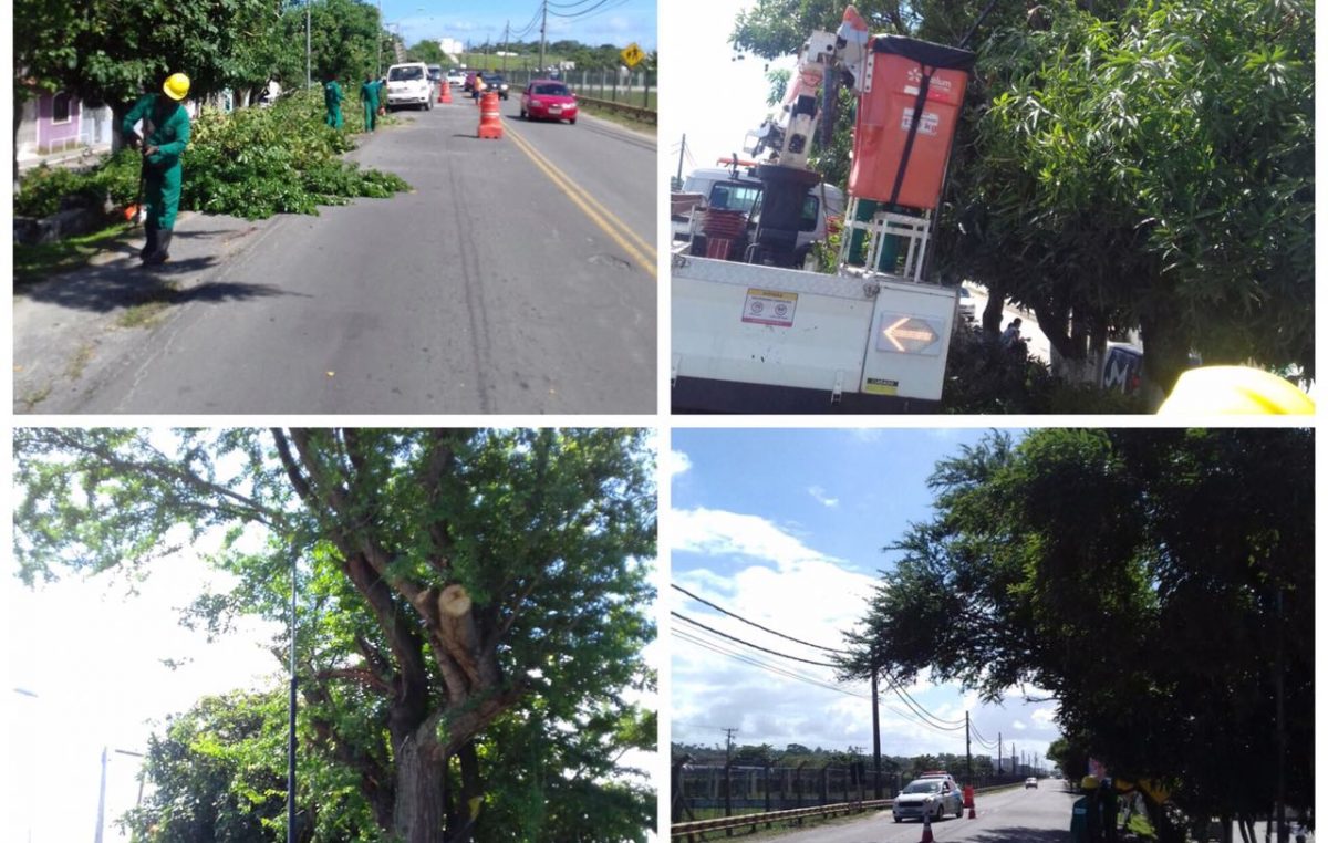 SESCOP realizou poda de árvores no bairro do Caípe