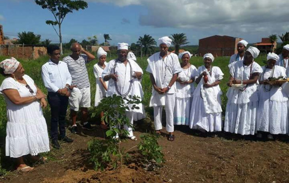 Dia da África: Plantio de uma muda do Baobá foi realizado no Ilê Odé Asé Obá Omin
